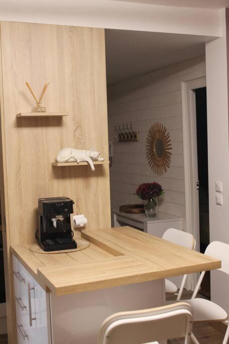 Chartres Hyper Centre Bel Appartement Renove Экстерьер фото